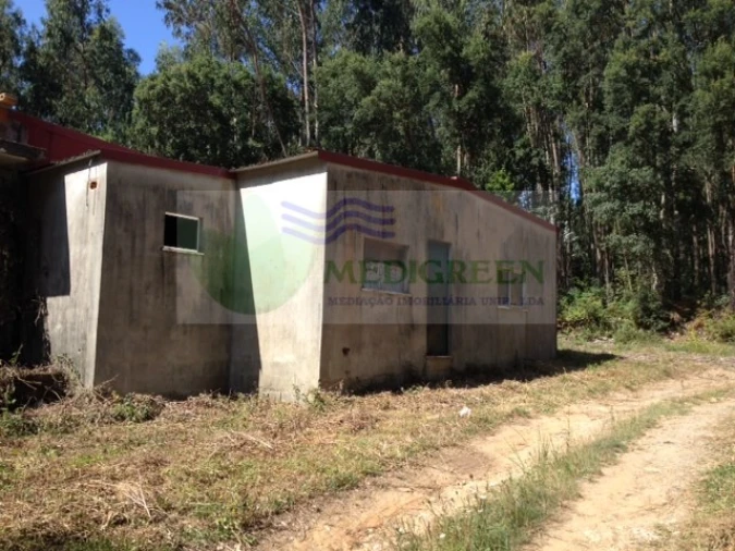 Terreno para Venda em Valongo do Vouga Foto 1