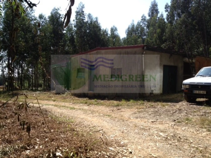 Terreno para Venda em Valongo do Vouga Foto 2