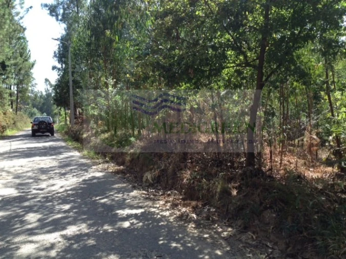 Terreno para Venda em Valongo do Vouga Foto 3