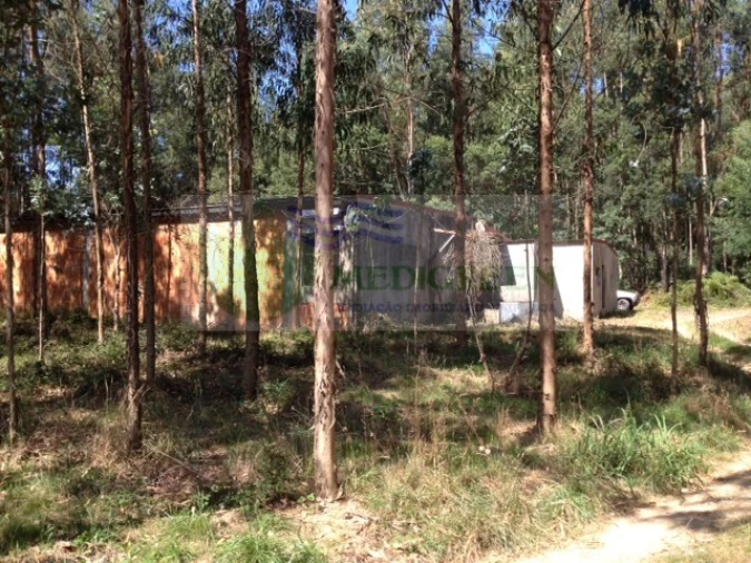 Terreno para Venda em Valongo do Vouga Foto 6