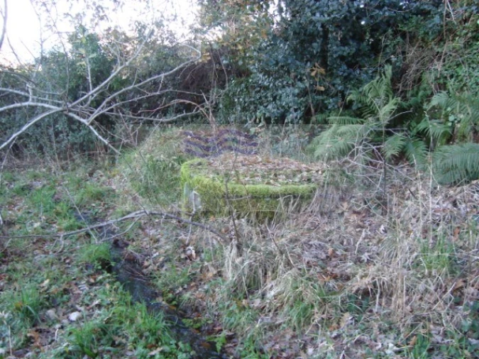 Quinta para Venda em São Pedro de Castelões Foto 2