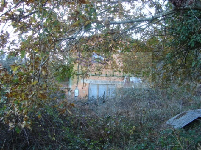 Quinta para Venda em São Pedro de Castelões Foto 4