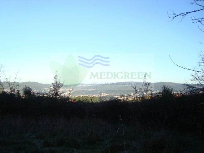 Quinta para Venda em São Pedro de Castelões Foto 7