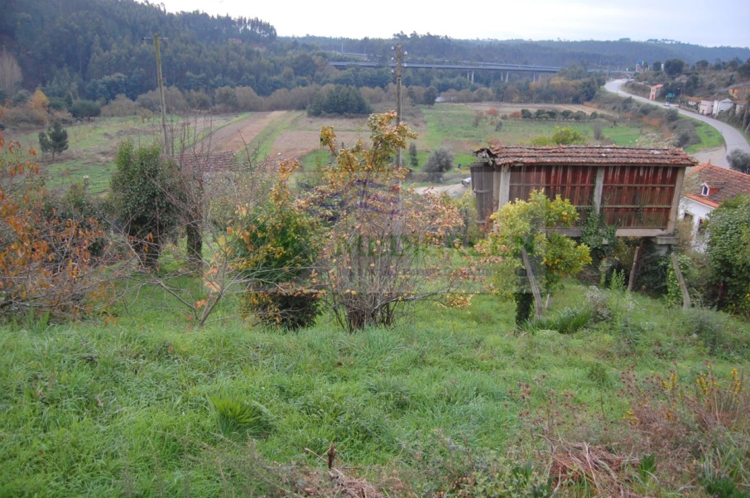 Quinta para Venda em Macinhata do Vouga Foto 3