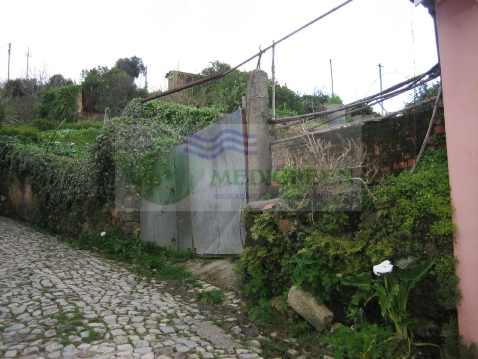 Quinta para Venda em Macinhata do Vouga Foto 4