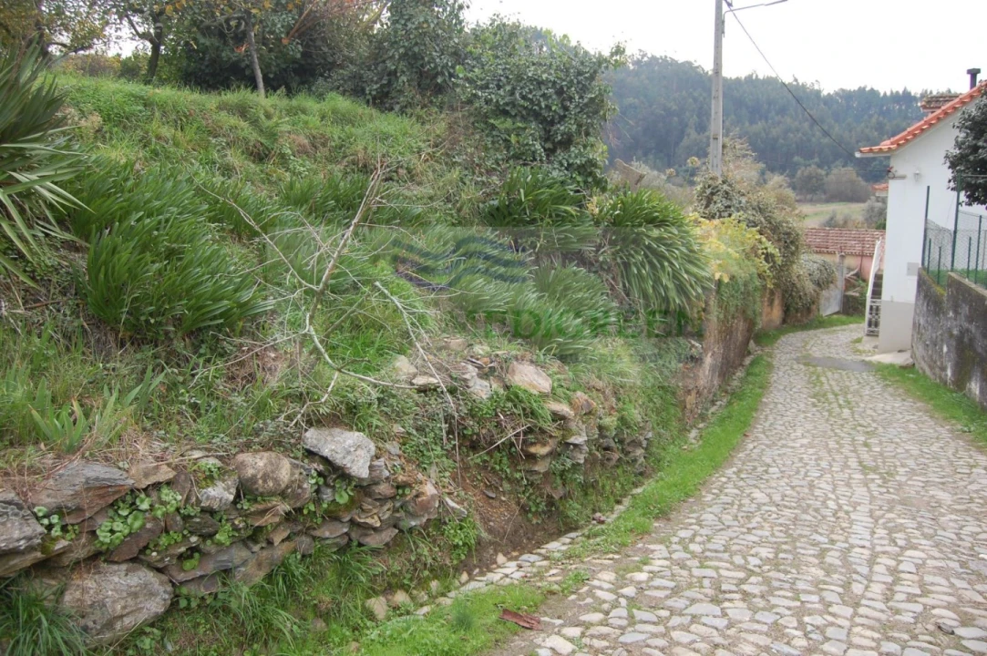 Quinta para Venda em Macinhata do Vouga Foto 5