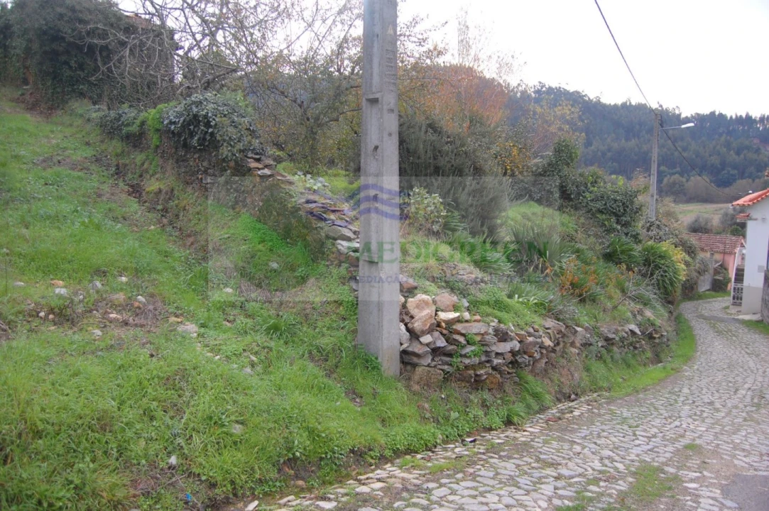 Quinta para Venda em Macinhata do Vouga Foto 6