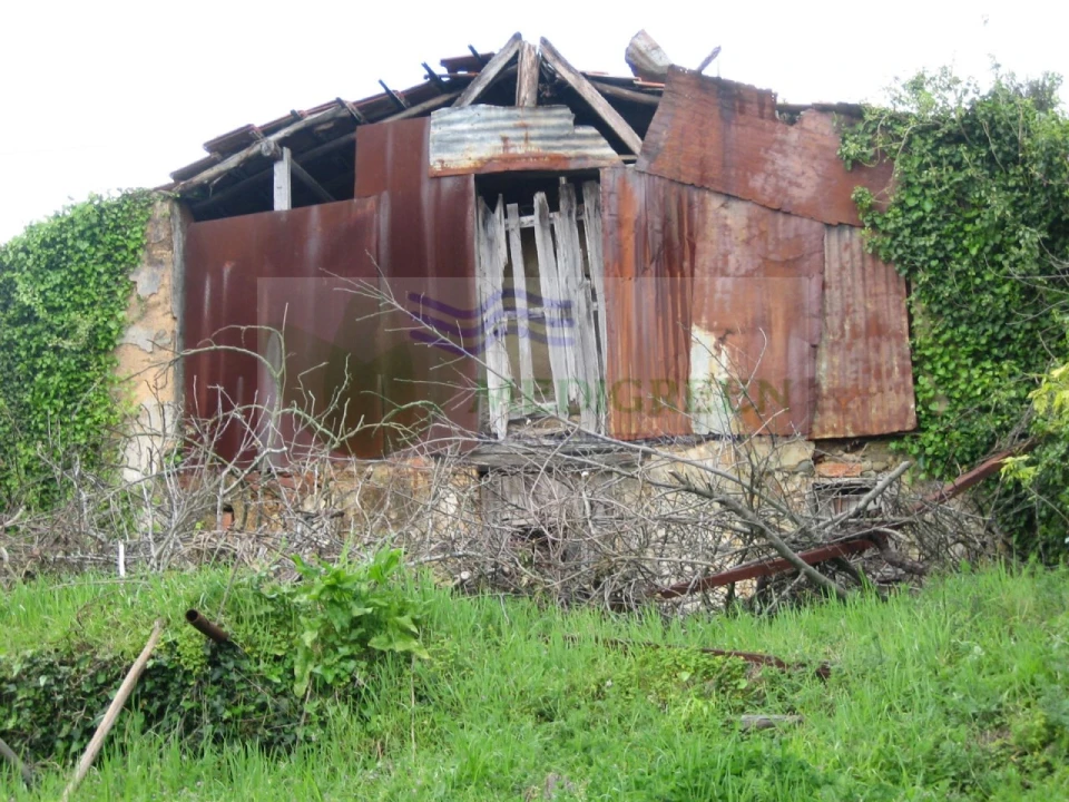 Quinta para Venda em Macinhata do Vouga Foto 7