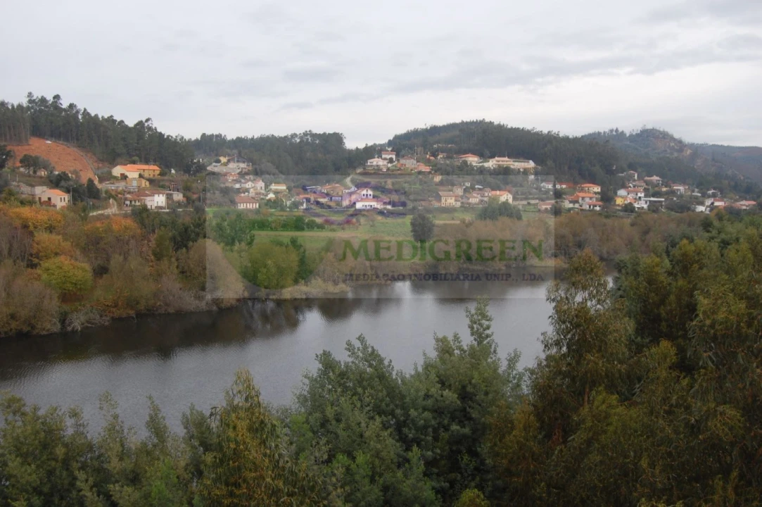 Quinta para Venda em Macinhata do Vouga Foto 15