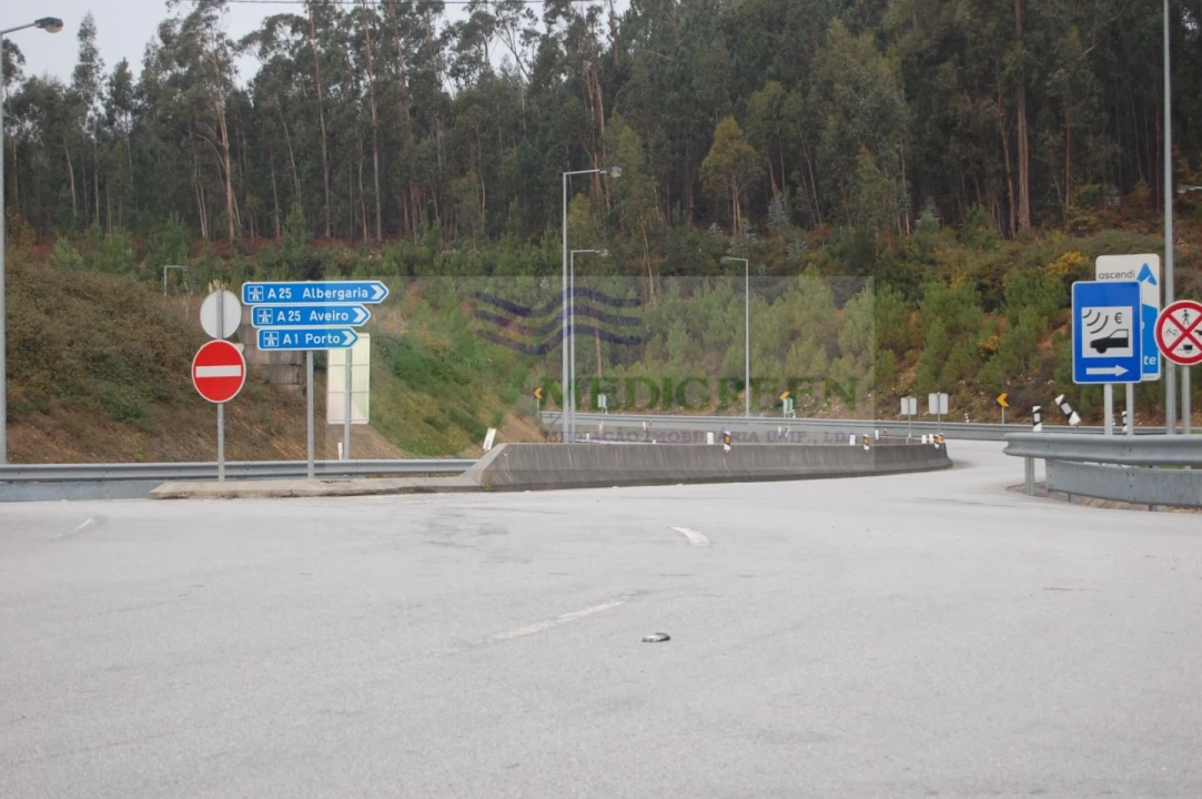 Quinta para Venda em Macinhata do Vouga Foto 17