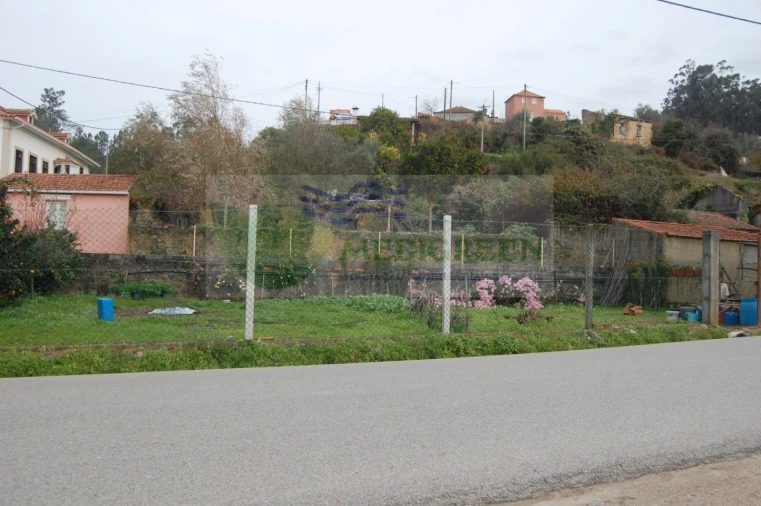 Quinta para Venda em Macinhata do Vouga Foto 2