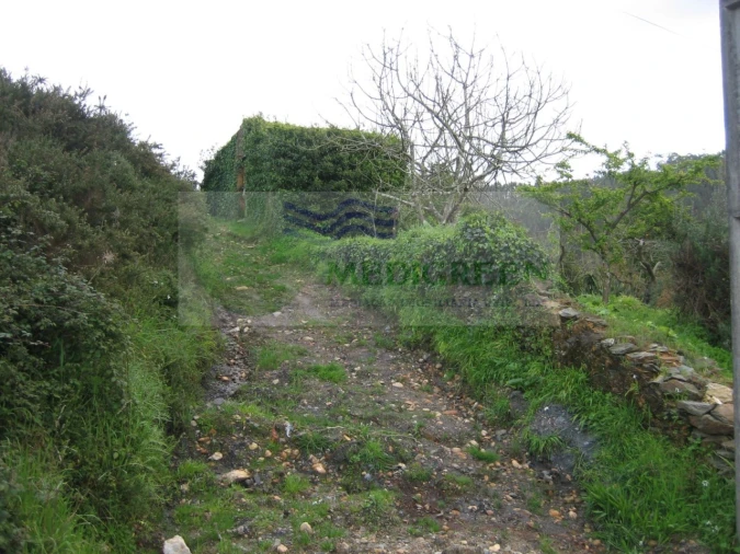 Quinta para Venda em Macinhata do Vouga Foto 11