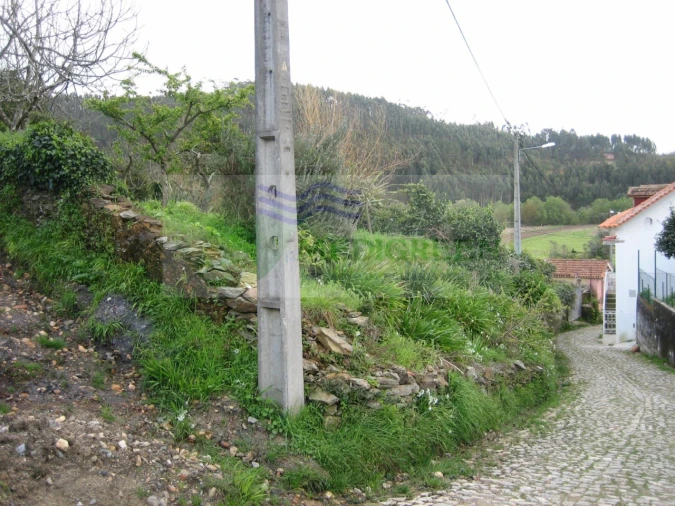 Quinta para Venda em Macinhata do Vouga Foto 12