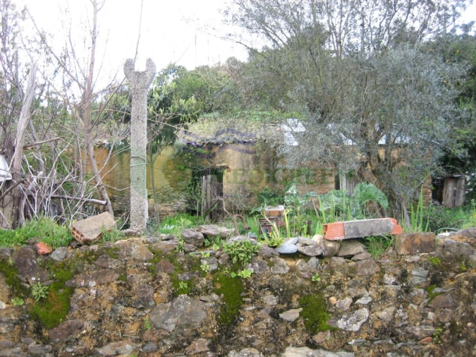 Quinta para Venda em Macinhata do Vouga Foto 13