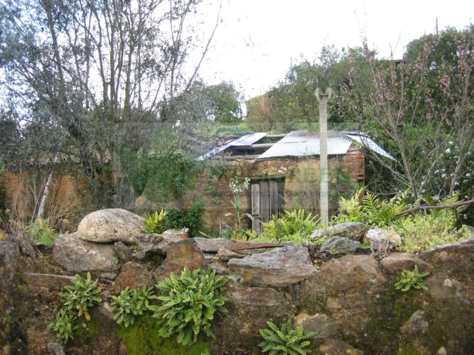 Quinta para Venda em Macinhata do Vouga Foto 14