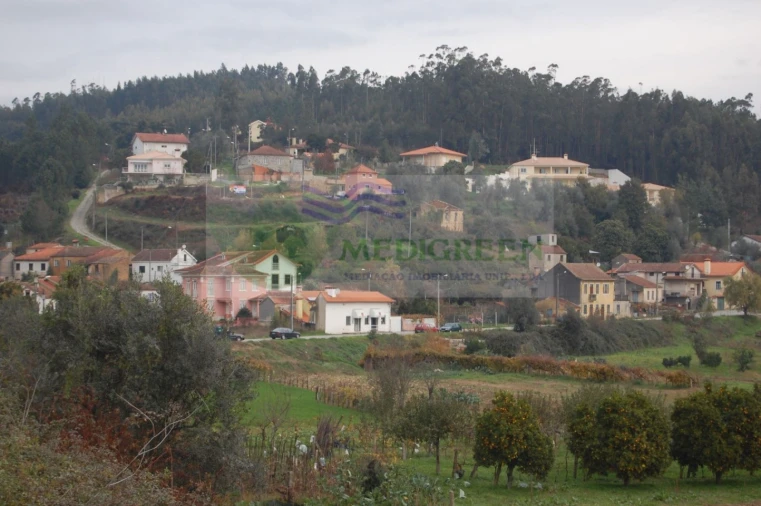 Quinta para Venda em Macinhata do Vouga Foto 16