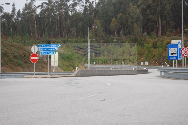 Quinta para Venda em Macinhata do Vouga Foto 17