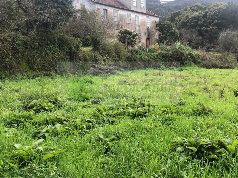 Moradia T2 para Venda em Ribeiradio Foto 17