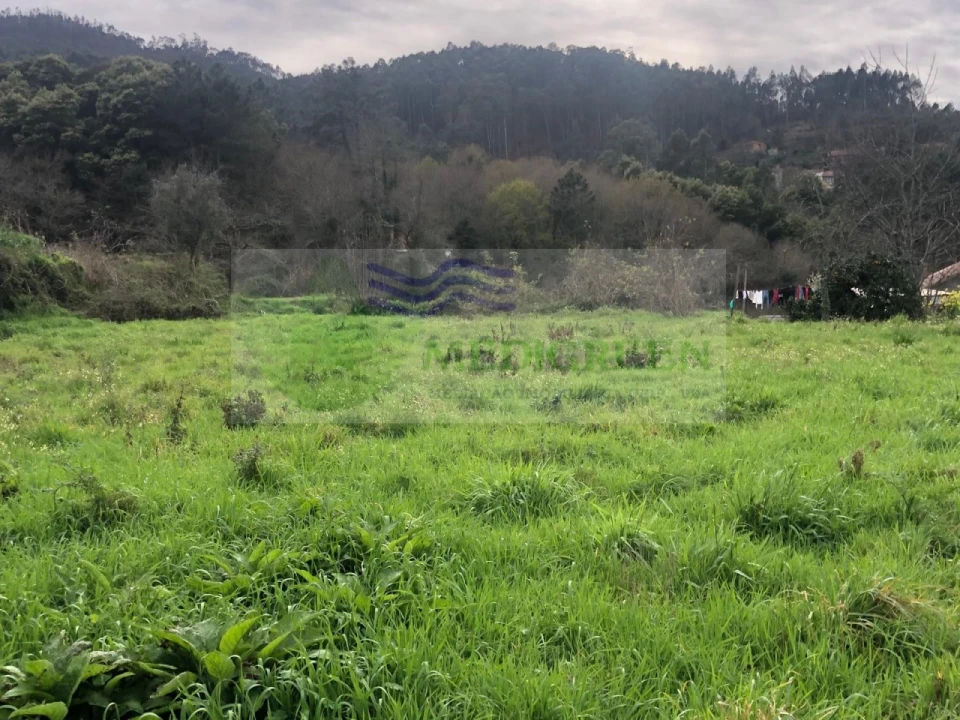 Moradia T2 para Venda em Ribeiradio Foto 18