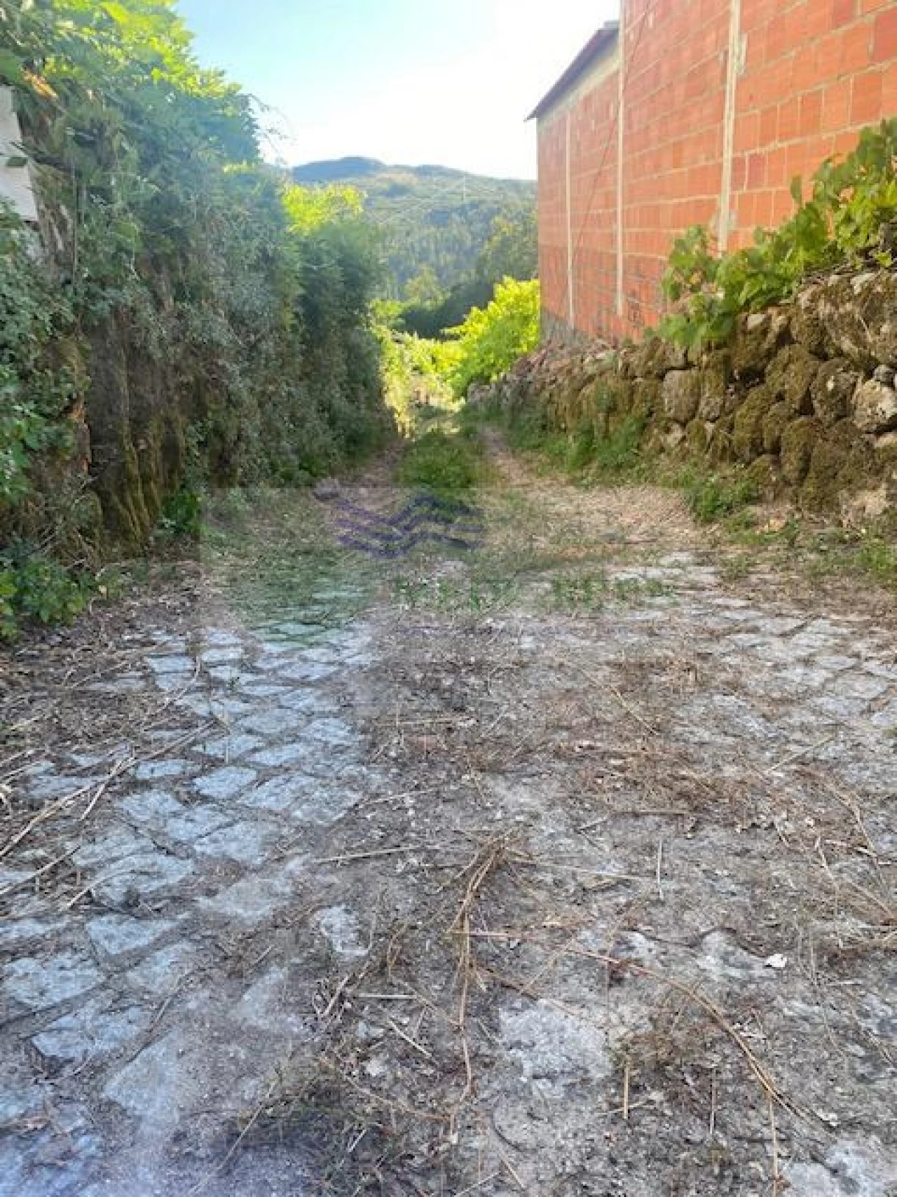 Moradia para Venda em Cambra e Carvalhal de Vermilhas Foto 6