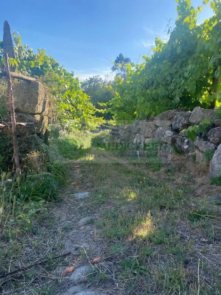 Moradia para Venda em Cambra e Carvalhal de Vermilhas Foto 7