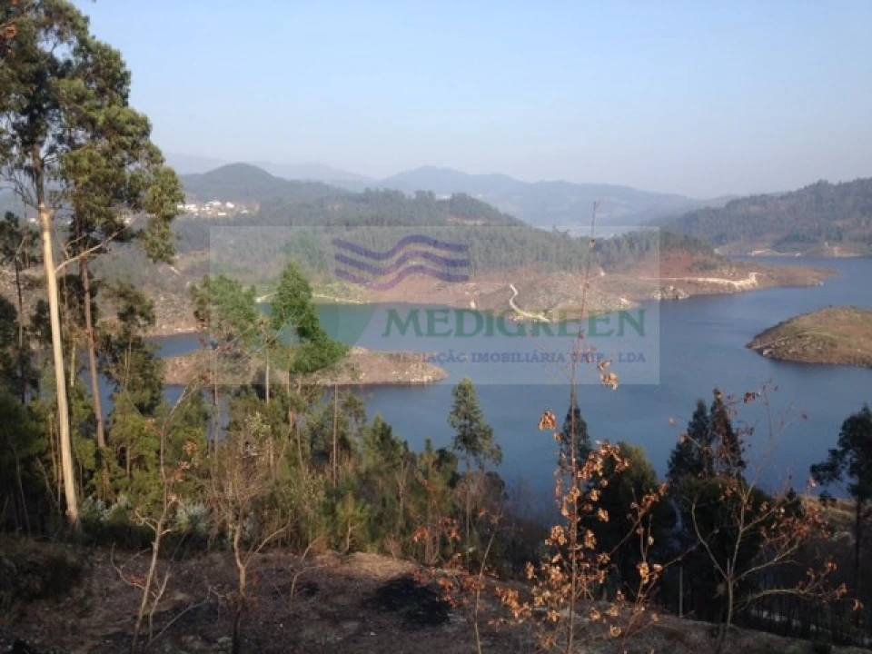 Terreno para Venda em Couto de Esteves Foto 5