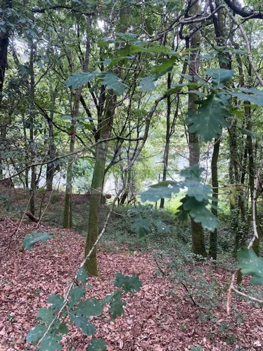 Terreno para Venda em Arcozelo das Maias