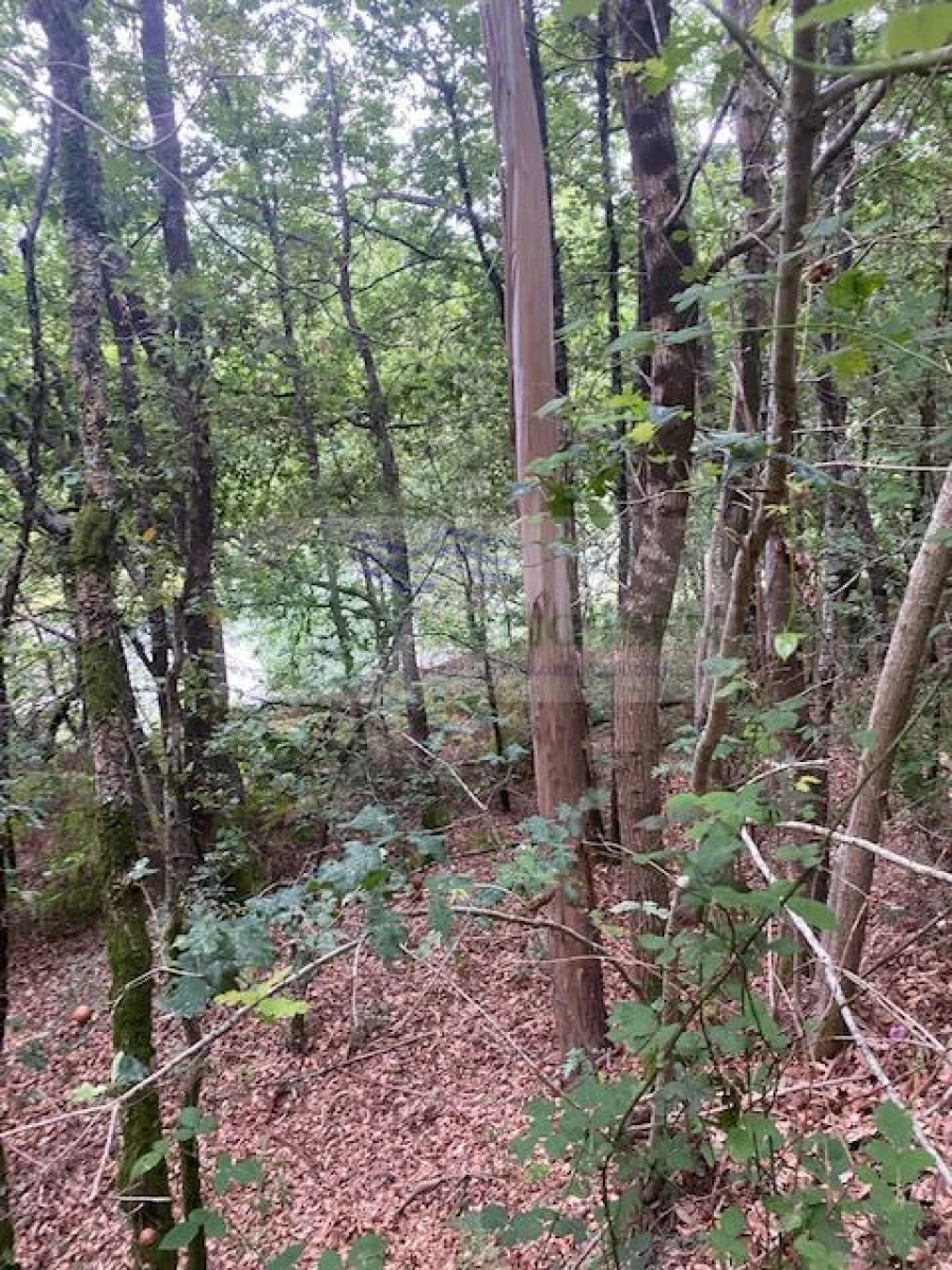 Terreno para Venda em Arcozelo das Maias Foto 6