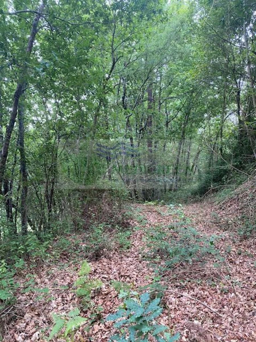 Terreno para Venda em Arcozelo das Maias Foto 7