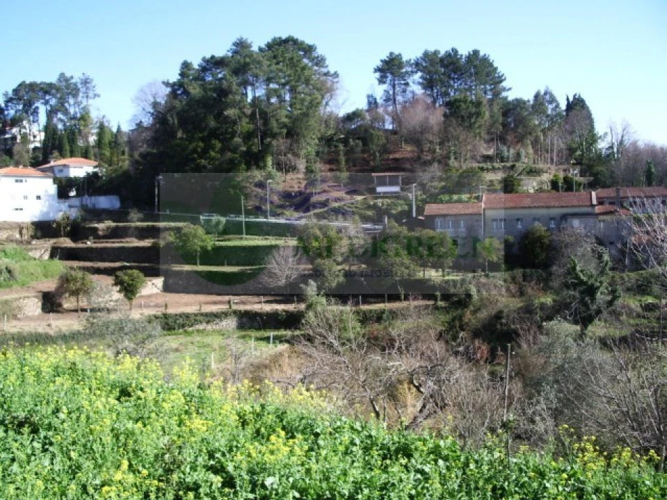 Quinta T5 para Venda em Sever do Vouga Foto 4