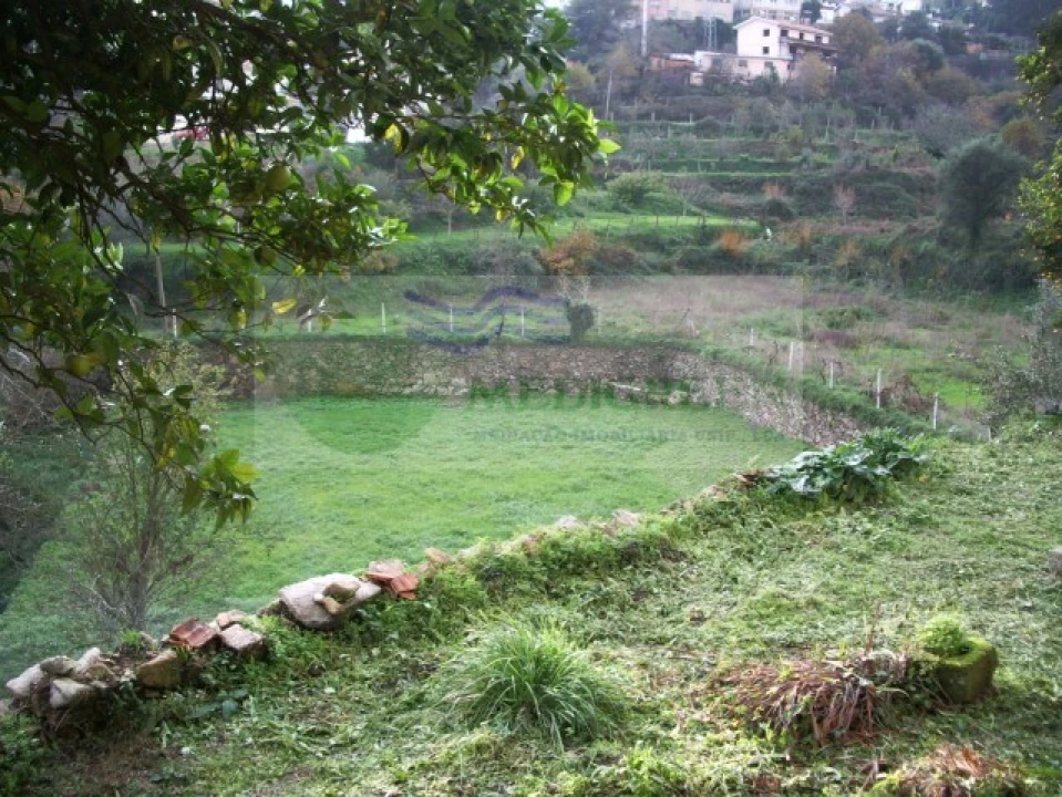 Quinta T5 para Venda em Sever do Vouga Foto 8