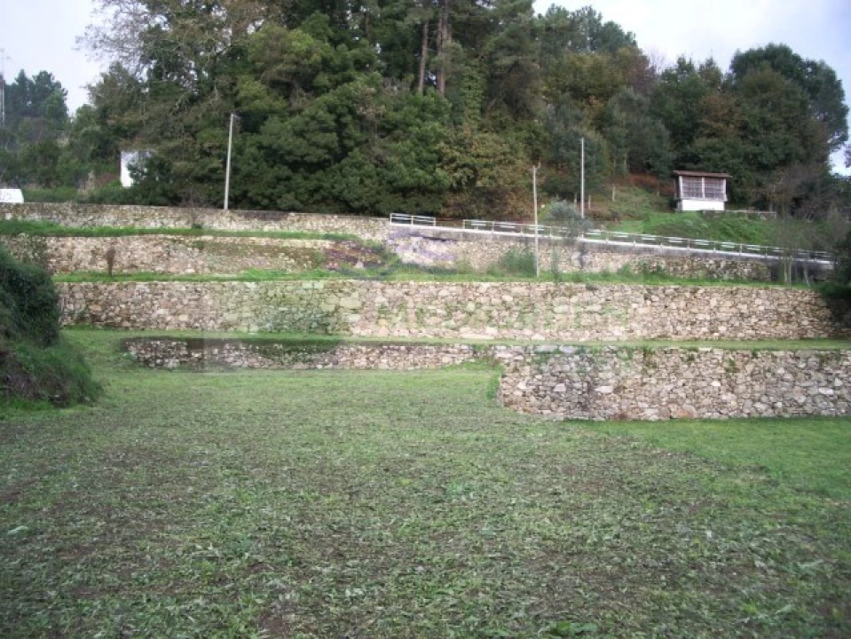 Quinta T5 para Venda em Sever do Vouga Foto 16