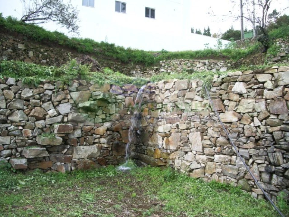 Quinta T5 para Venda em Sever do Vouga Foto 23