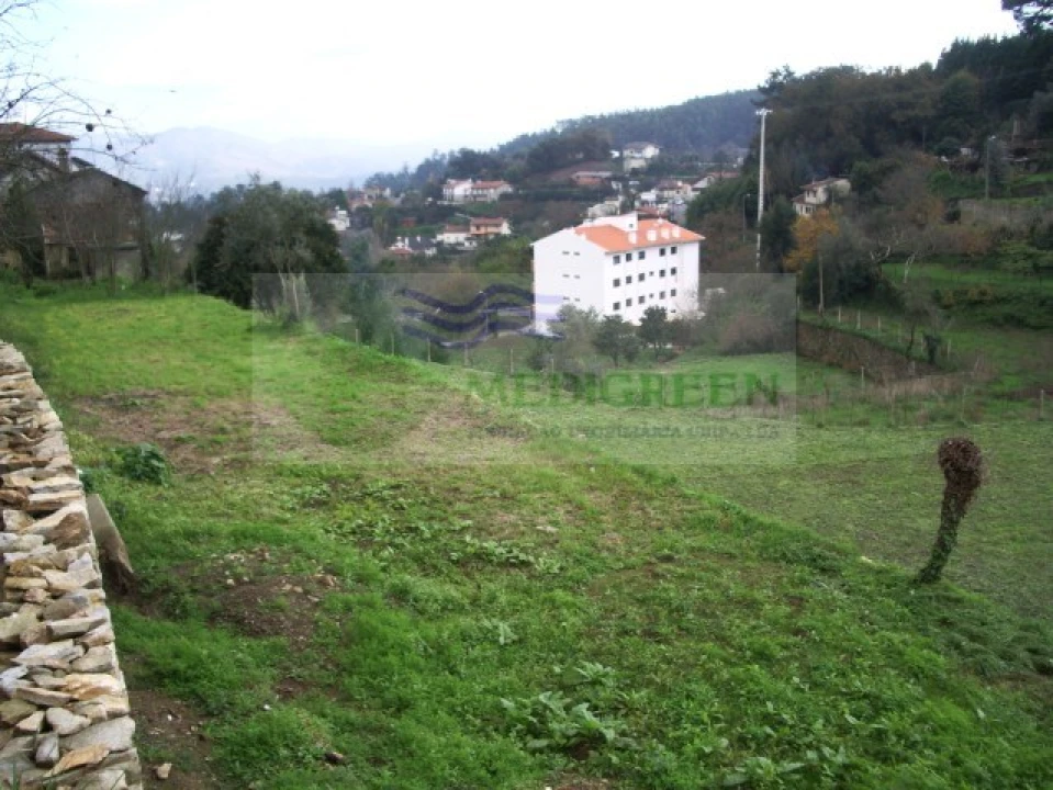 Quinta T5 para Venda em Sever do Vouga Foto 26