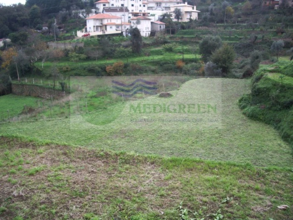 Quinta T5 para Venda em Sever do Vouga Foto 27