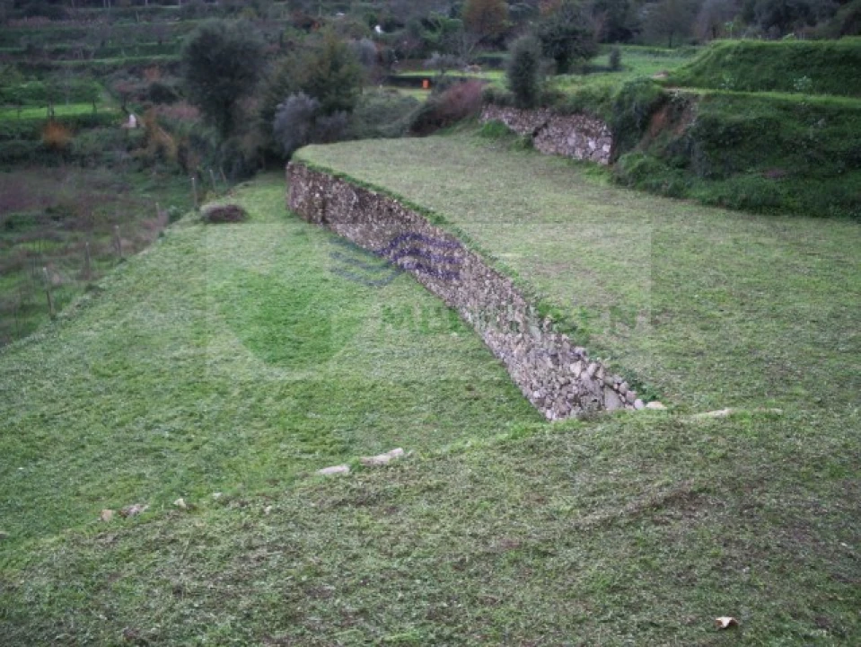 Quinta T5 para Venda em Sever do Vouga Foto 29