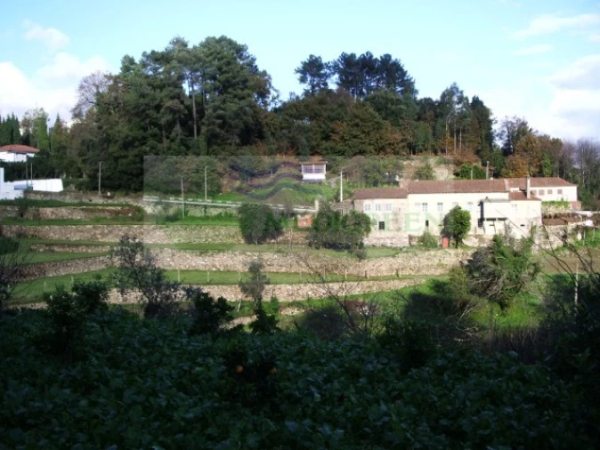 Quinta T5 para Venda em Sever do Vouga Foto 2