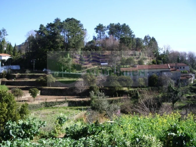 Quinta T5 para Venda em Sever do Vouga Foto 3