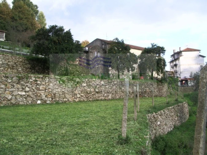 Quinta T5 para Venda em Sever do Vouga Foto 12