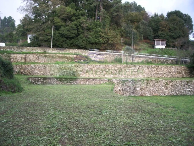 Quinta T5 para Venda em Sever do Vouga Foto 16