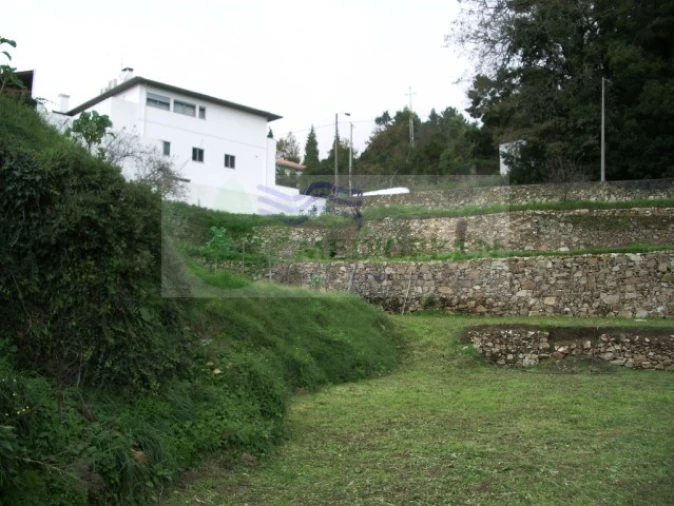 Quinta T5 para Venda em Sever do Vouga Foto 22