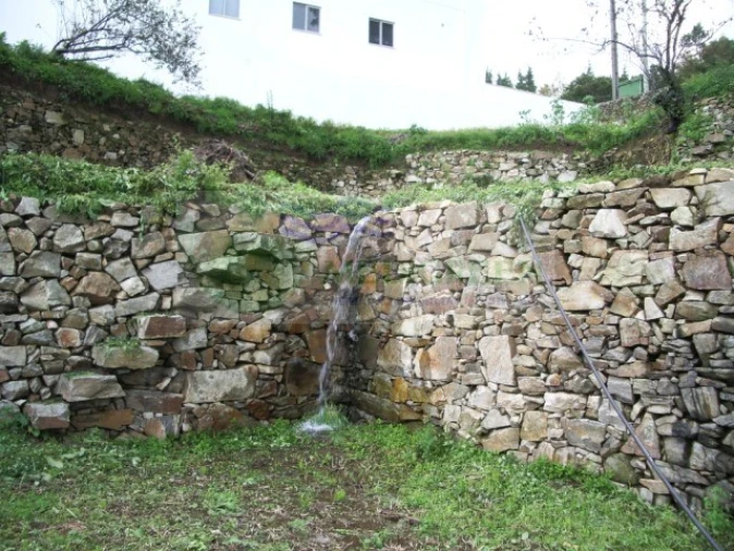 Quinta T5 para Venda em Sever do Vouga Foto 23