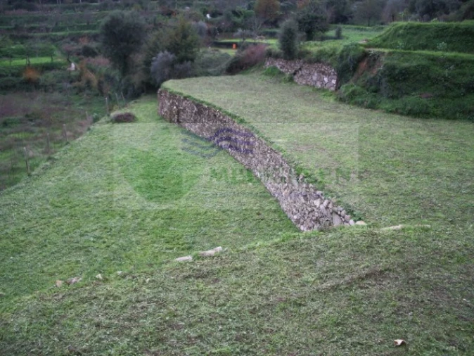 Quinta T5 para Venda em Sever do Vouga Foto 29