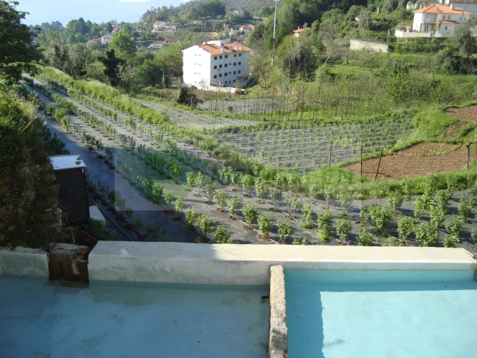 Quinta T5 para Venda em Sever do Vouga Foto 30