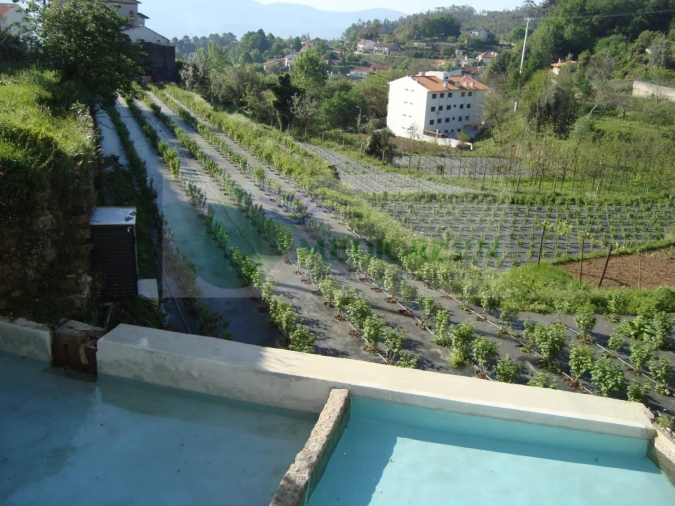 Quinta T5 para Venda em Sever do Vouga Foto 31