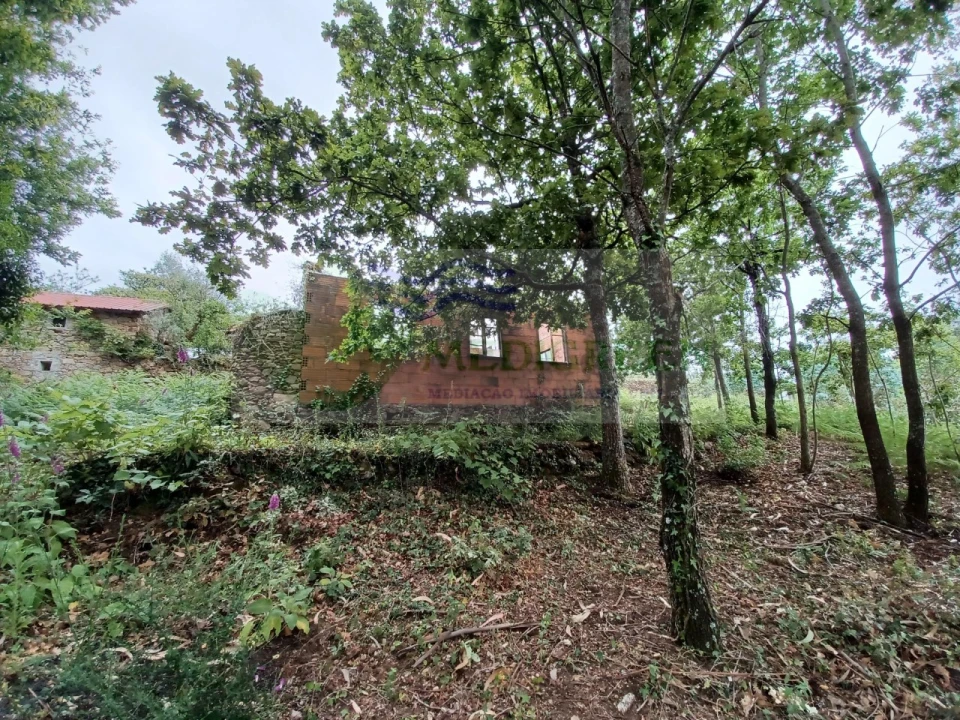 Quinta para Venda em Silva Escura e Dornelas Foto 1