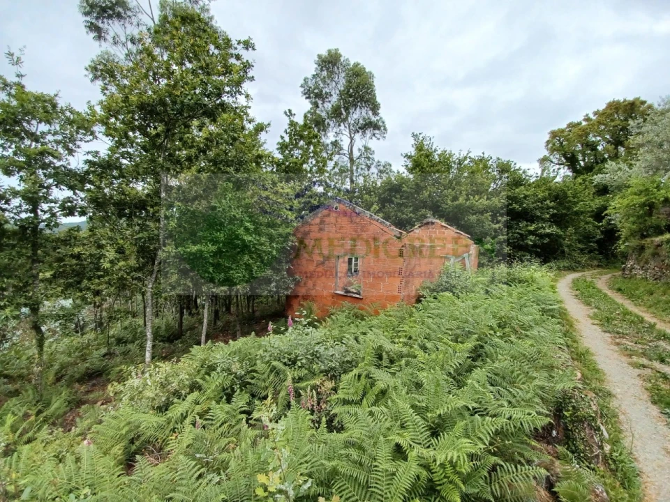 Quinta para Venda em Silva Escura e Dornelas Foto 5