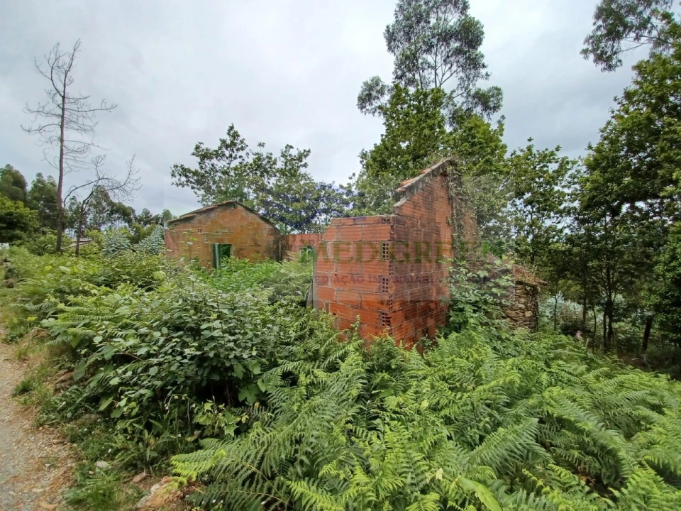 Quinta para Venda em Silva Escura e Dornelas Foto 10