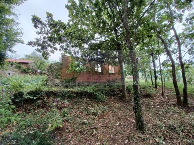 Quinta para Venda em Silva Escura e Dornelas Foto 1