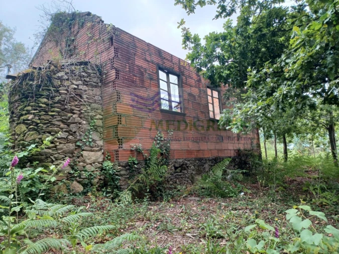 Quinta para Venda em Silva Escura e Dornelas Foto 2
